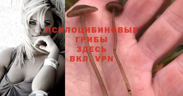 MESCALINE Алзамай