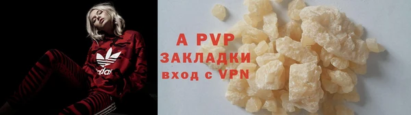 крисы Алексин