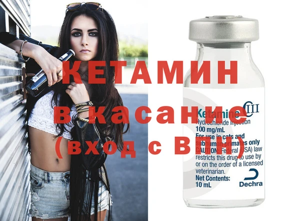 крисы Алексин
