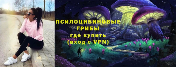 крисы Алексин