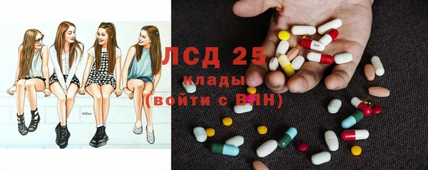 крисы Алексин