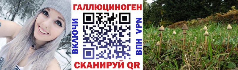 Галлюциногенные грибы прущие грибы  Феодосия 